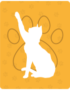 Productos para Gatos | Libelula Tienda